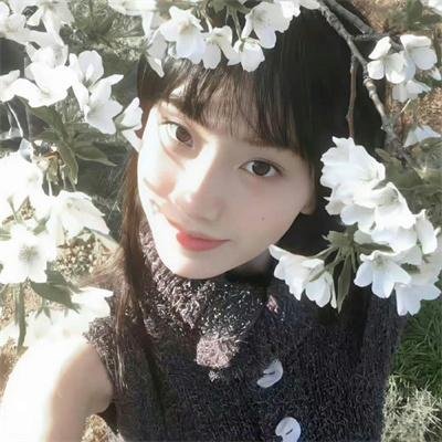 蝴蝶振翅之后